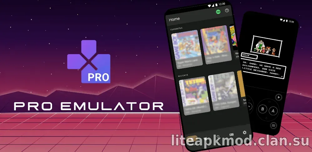 Wize Pro Emulator