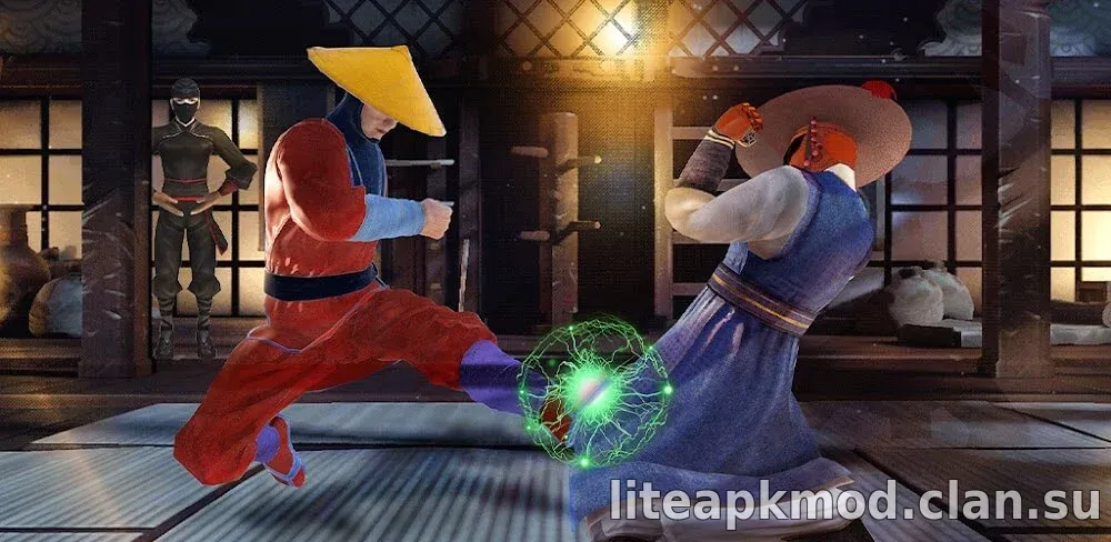 Karate Kung Fu Fight