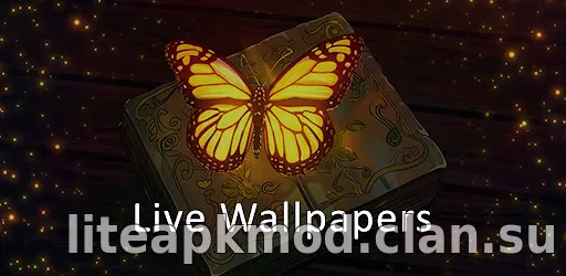 Live Wallpapers, 4K Wallpapers