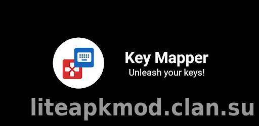 Key Mapper & Floating Buttons