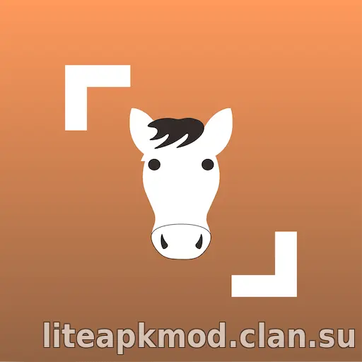 Horse Scanner: Horse Breeds