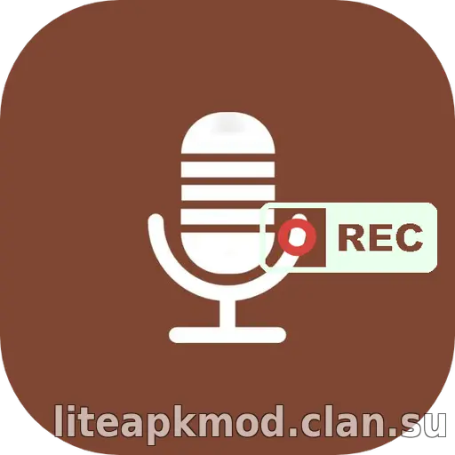 Internal Audio Recorder Sound