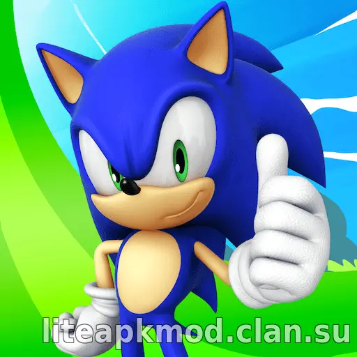 Sonic Dash Run