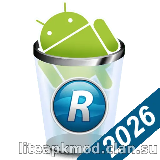 Revo Uninstaller