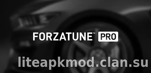 ForzaTune Pro